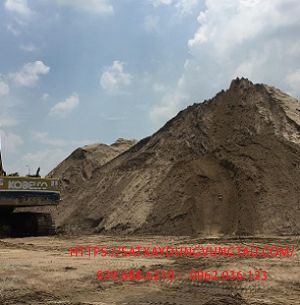 CÁT HỒNG NGỰ